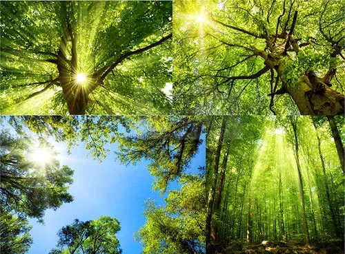 只有一个商品图