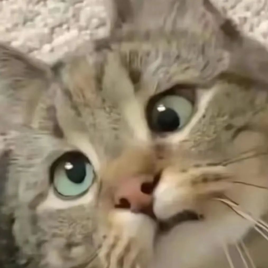 美国CBD风控商品