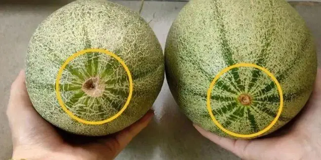 组合商品的赠品