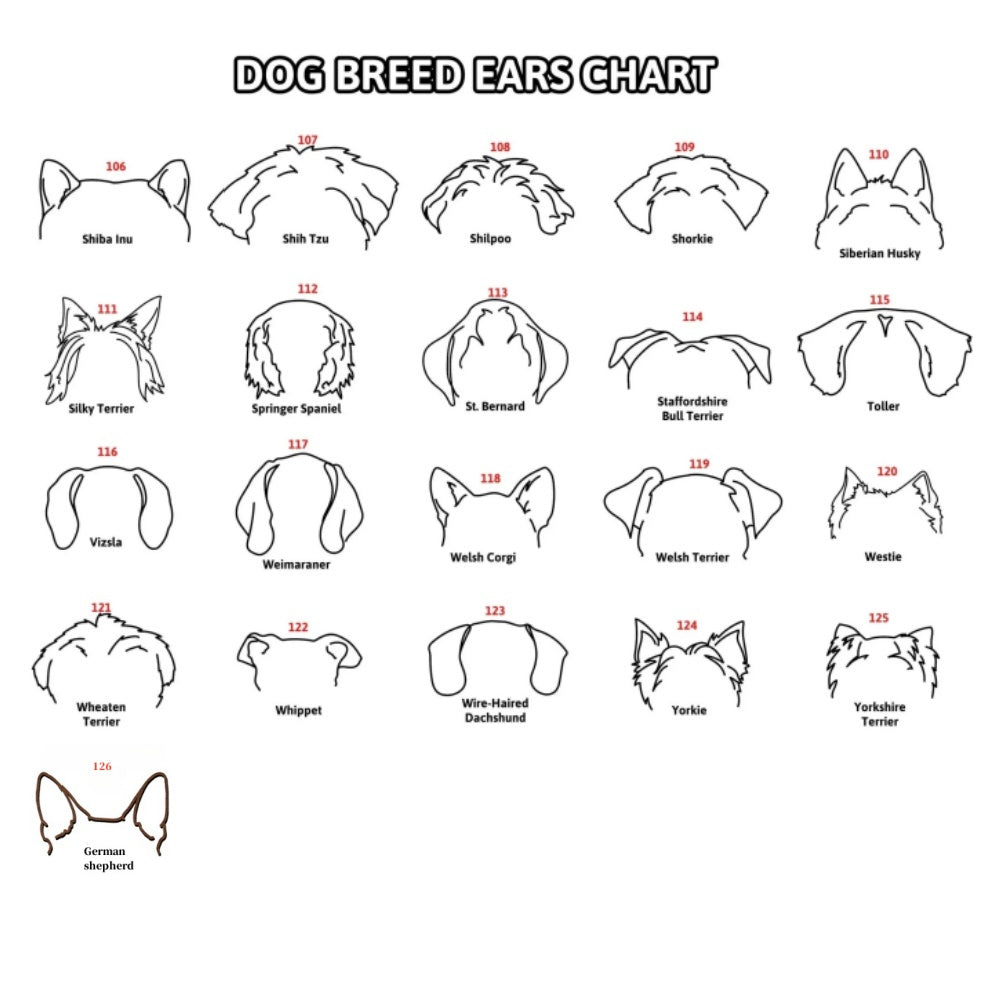 Mother's Day Gift Personalized Pet Memorial Collar Frame