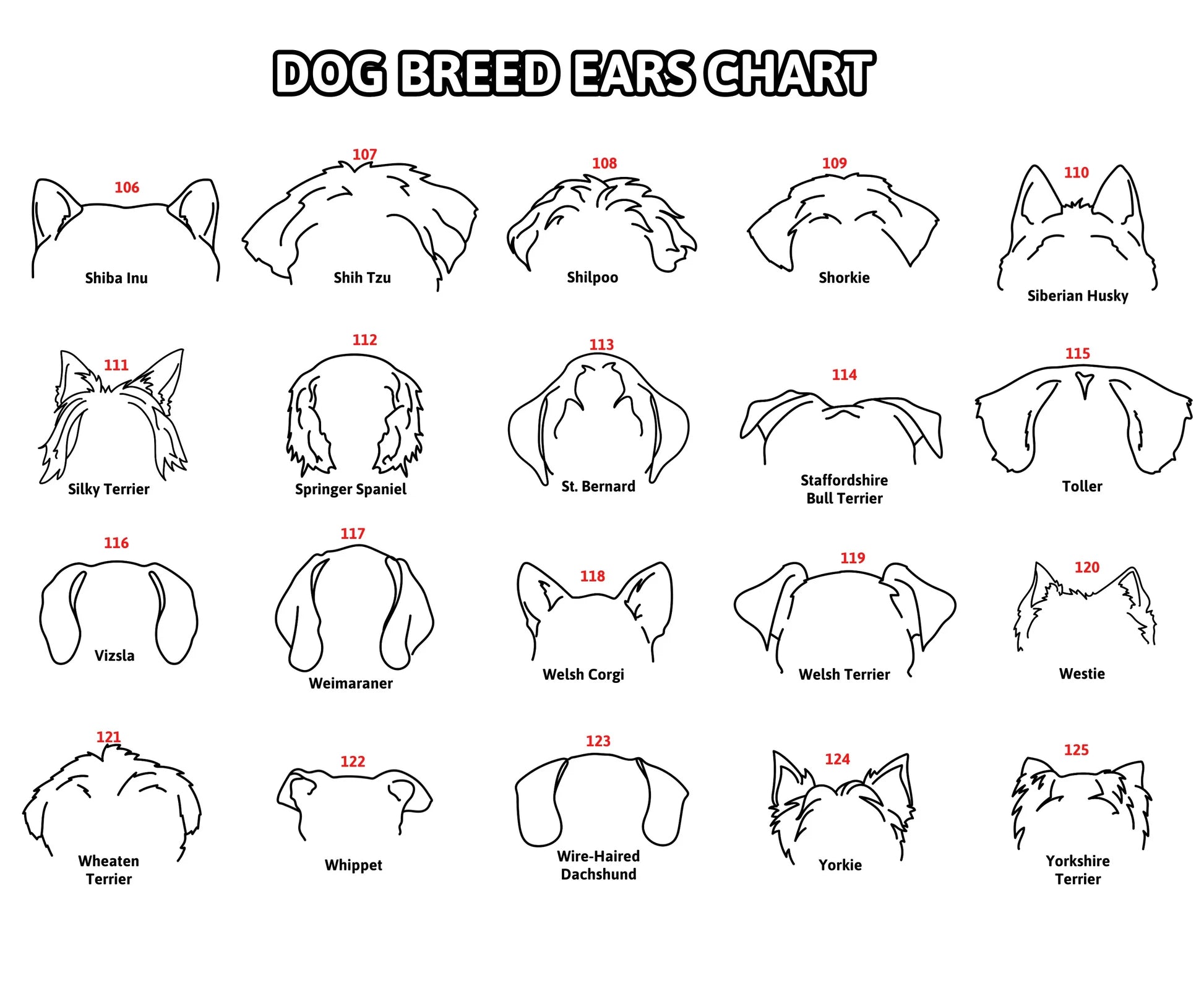 Mother's Day Gift Personalized Pet Memorial Collar Frame