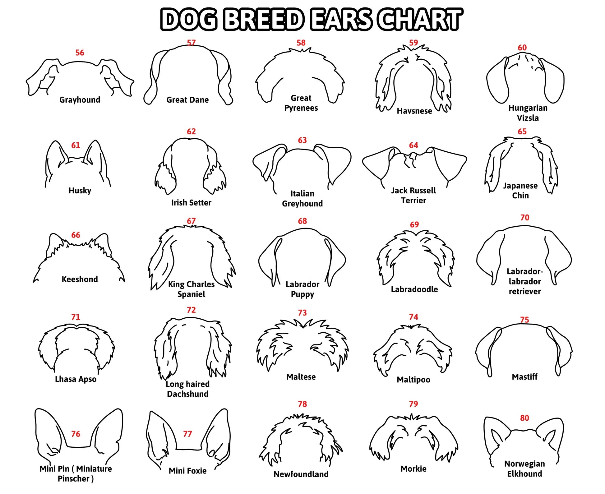 Mother's Day Gift Personalized Pet Memorial Collar Frame