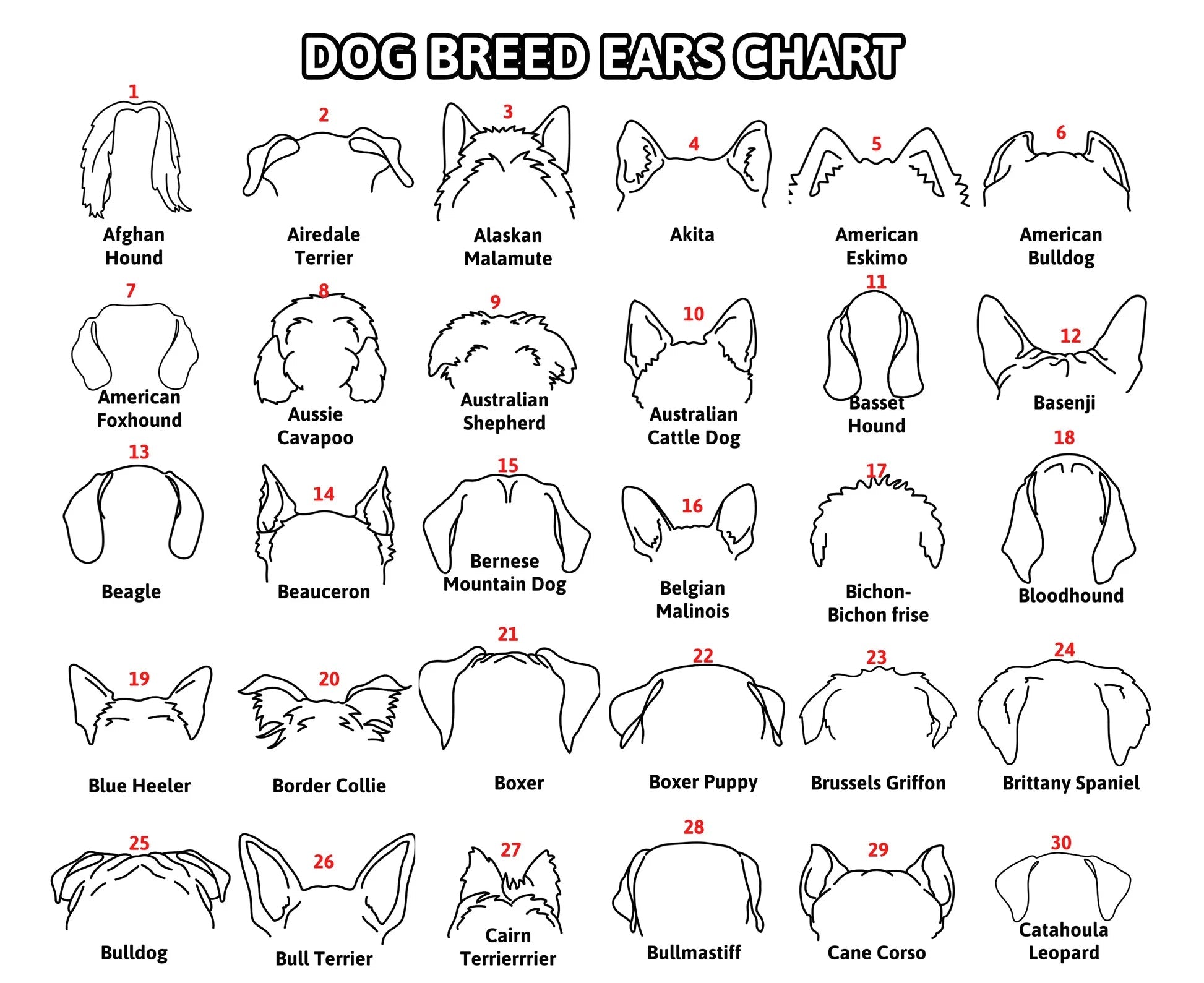 Mother's Day Gift Personalized Pet Memorial Collar Frame