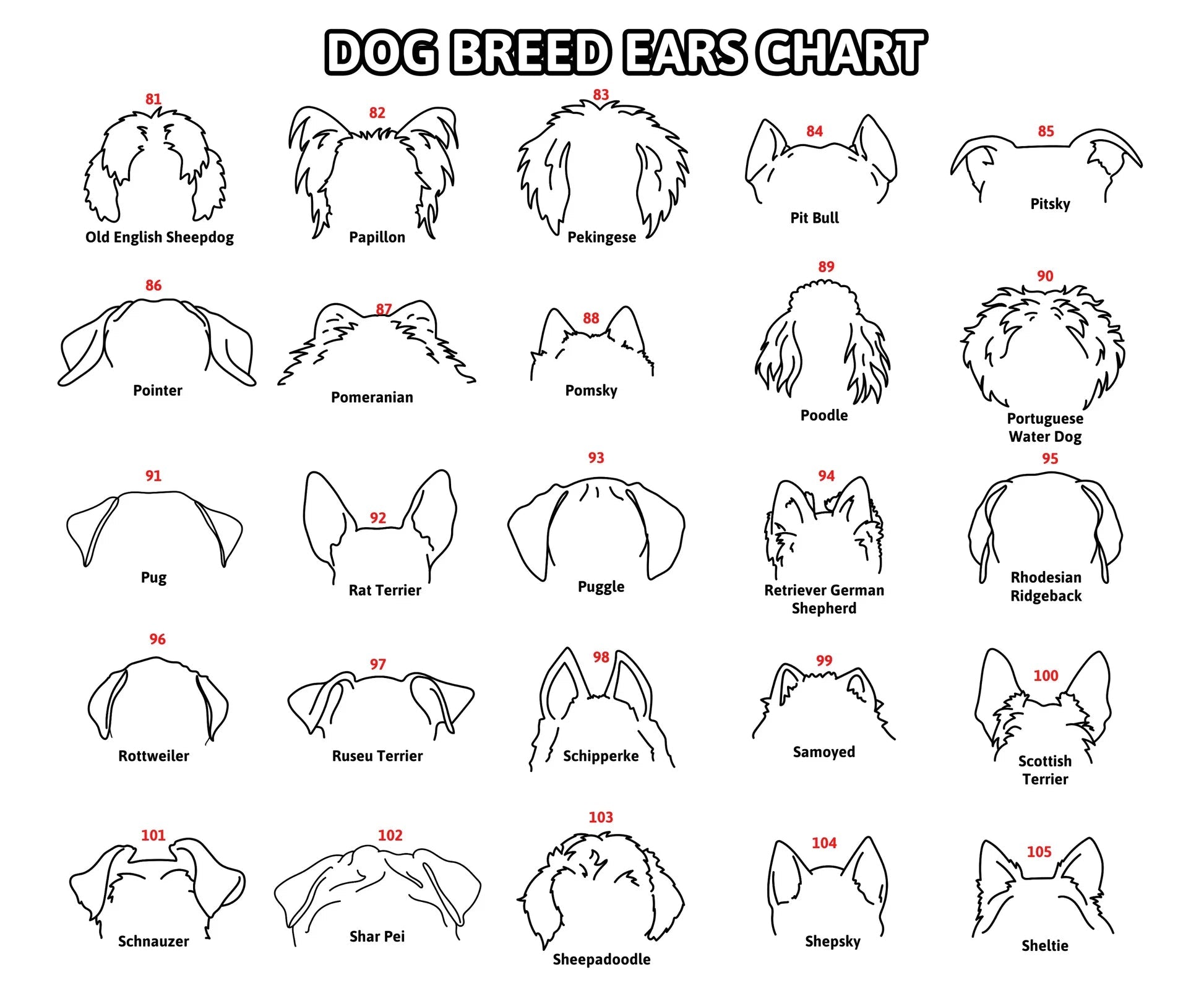 Mother's Day Gift Personalized Pet Memorial Collar Frame