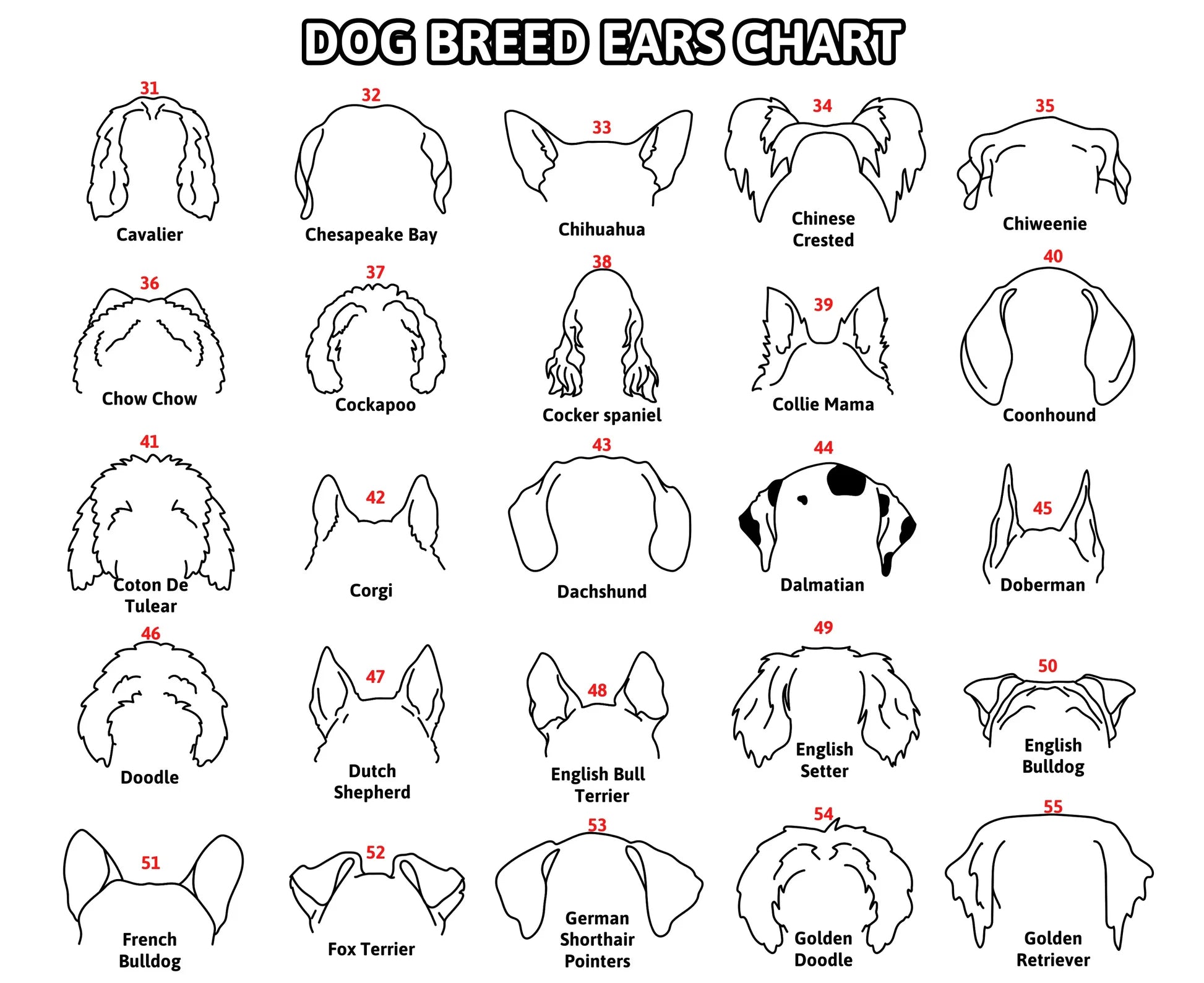 Mother's Day Gift Personalized Pet Memorial Collar Frame