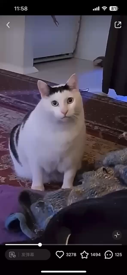 单规格仅一个视频封面（隐藏规格选项）