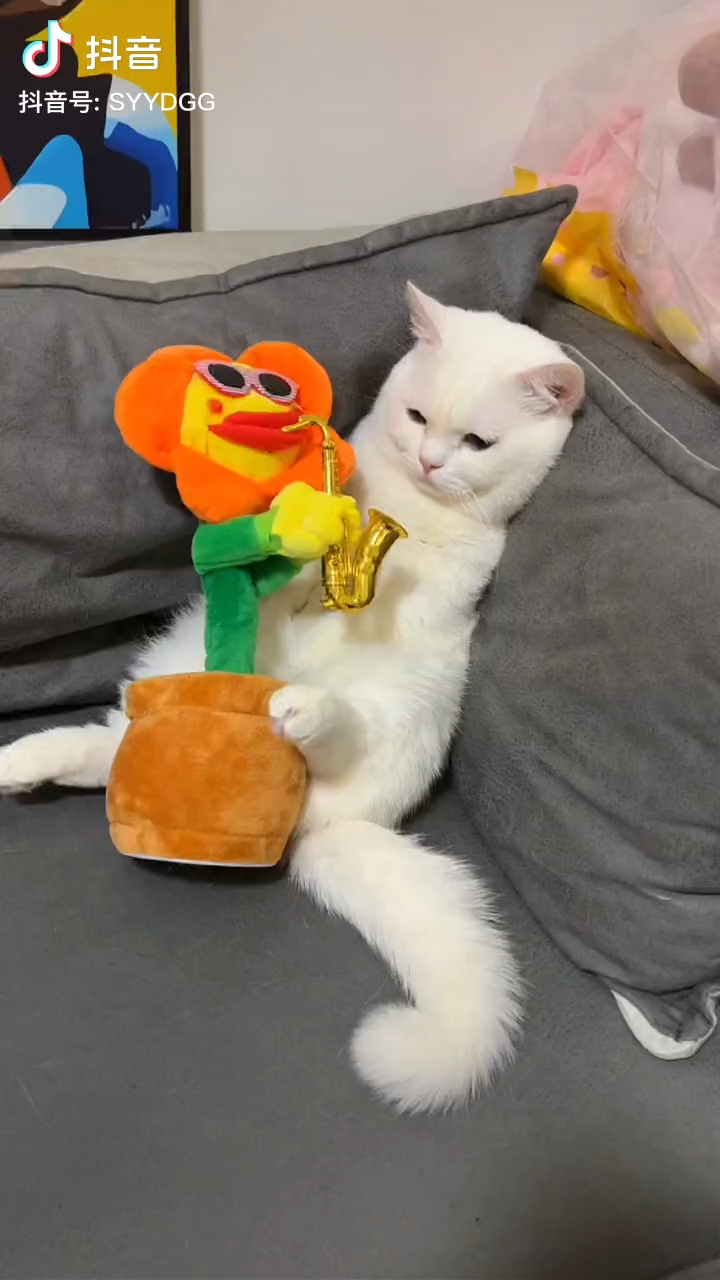 阿萨德阿萨德盎司111