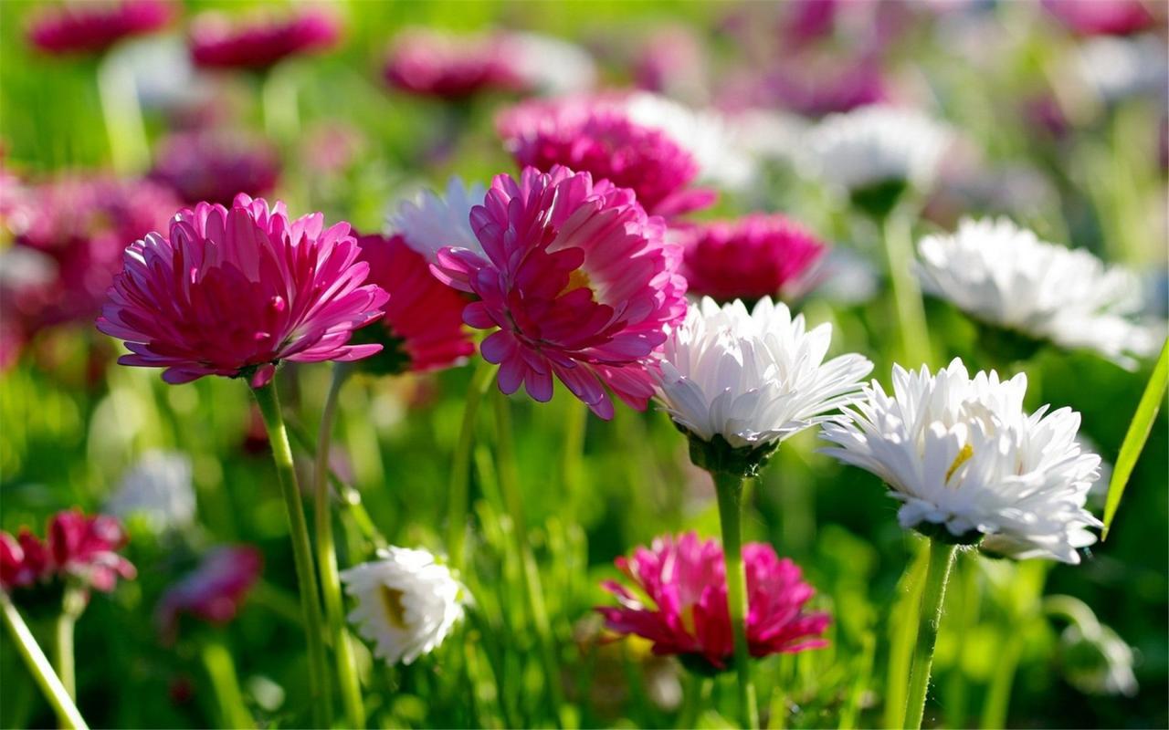 100字符的标签+🌺+【】,zlweiieiiALOGNAGO&two_¥哈哈哈(^_^)🐯100字符的标签+🌺+【】,zlweiieiiALOGNAGO&two_¥哈哈哈(^_100字符的标签+🌺+【】,zlweiieiiALOGNAGO&two_¥哈哈哈(^_^)🐯100字符的标签+🌺+【】,zlweiieiiALOGNAGO&two_¥哈哈哈(^_100字符的标签+🌺+【】,zlweiieiiALOGNAGO&two_¥哈哈哈(^_^)🐯100