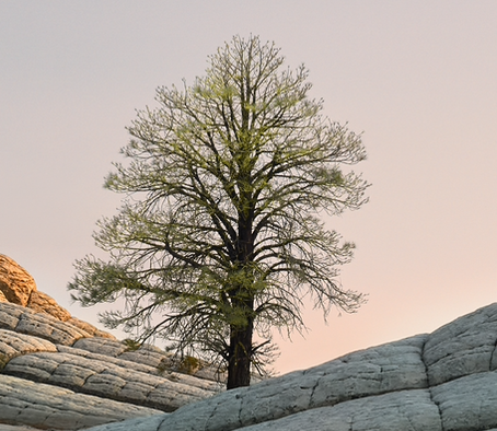 【TE1ster】、🌹😄😄💰5-*zero中文🌹-^_^we*are-in-a-war-VIII-Men's-罗马-30.9812-1234567890120ALDKWEIKVNNFNKSFSDKFLSK在超长handle[we&**993$%]anl hacks哈看2看坎坎坷坷1111111112323333323434234234234231231231231231231232323123123123213234333333333哈哈y-*-html-*-Men's
	-Ⅱ9999126