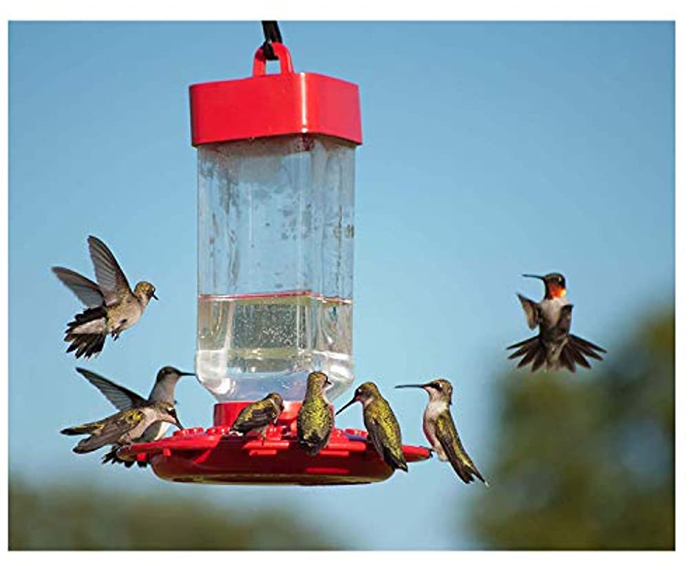 500个商品主图，500sku图，1视频-0