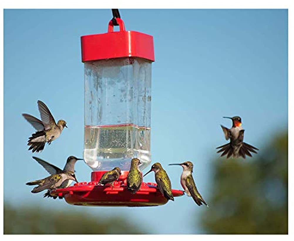 500个商品主图，500sku图，1视频-0