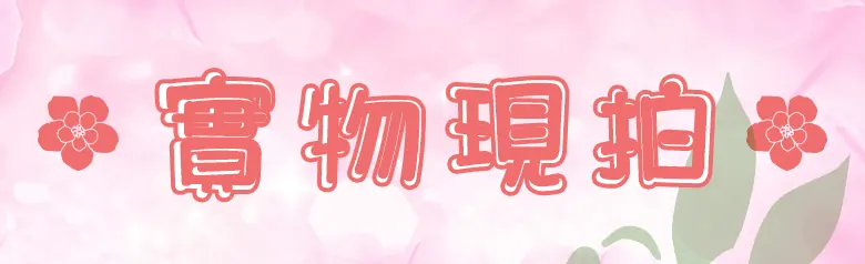 1720075633914-拷贝