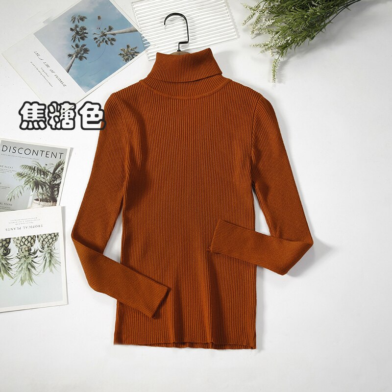 2Women Turtleneck Sweaters Autumn Winter Basic Tops Slim Pullover Women Casual Soft Knitted Sweater Jumper Soft Warm Pull