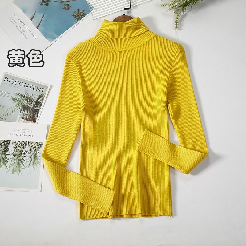 2Women Turtleneck Sweaters Autumn Winter Basic Tops Slim Pullover Women Casual Soft Knitted Sweater Jumper Soft Warm Pull