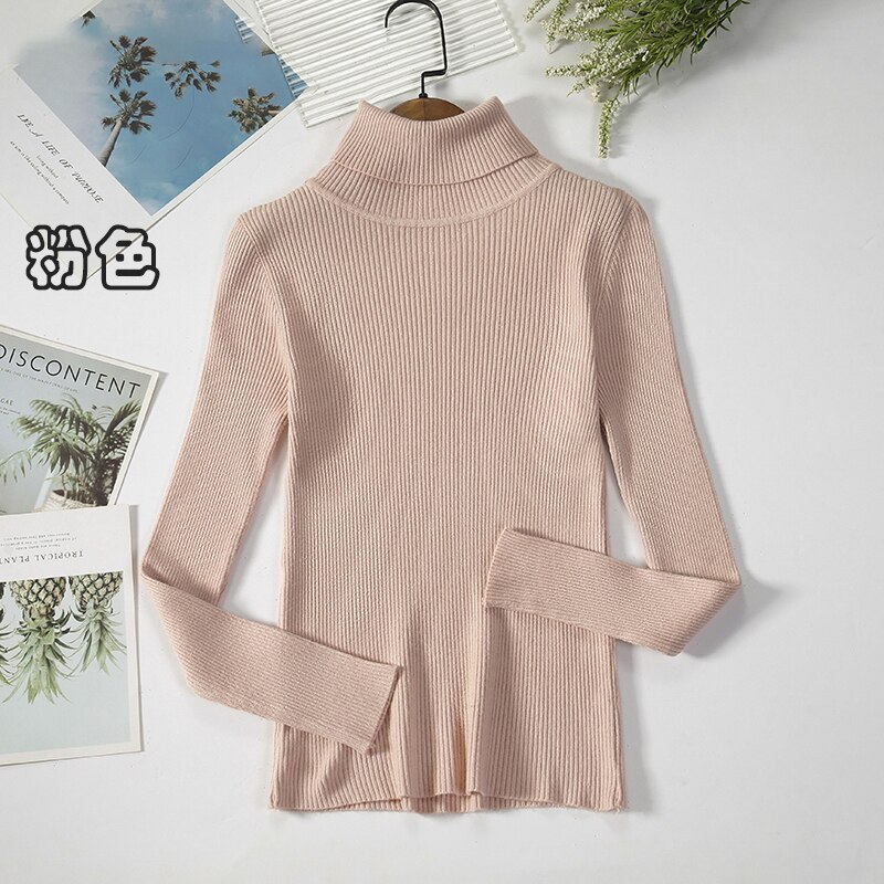 2Women Turtleneck Sweaters Autumn Winter Basic Tops Slim Pullover Women Casual Soft Knitted Sweater Jumper Soft Warm Pull