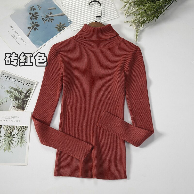 2Women Turtleneck Sweaters Autumn Winter Basic Tops Slim Pullover Women Casual Soft Knitted Sweater Jumper Soft Warm Pull