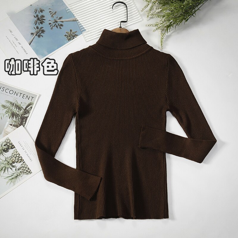 2Women Turtleneck Sweaters Autumn Winter Basic Tops Slim Pullover Women Casual Soft Knitted Sweater Jumper Soft Warm Pull