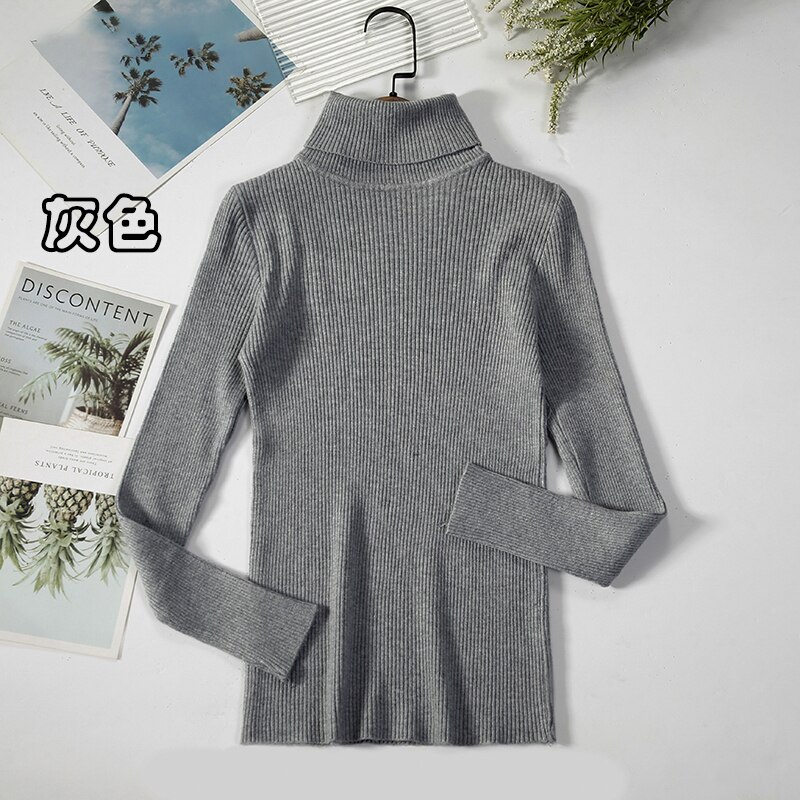 2Women Turtleneck Sweaters Autumn Winter Basic Tops Slim Pullover Women Casual Soft Knitted Sweater Jumper Soft Warm Pull