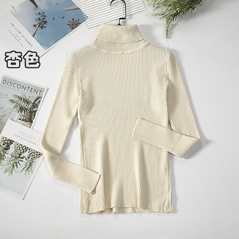 2Women Turtleneck Sweaters Autumn Winter Basic Tops Slim Pullover Women Casual Soft Knitted Sweater Jumper Soft Warm Pull