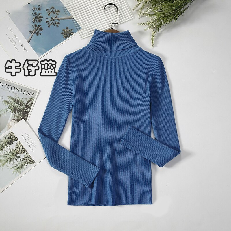 2Women Turtleneck Sweaters Autumn Winter Basic Tops Slim Pullover Women Casual Soft Knitted Sweater Jumper Soft Warm Pull