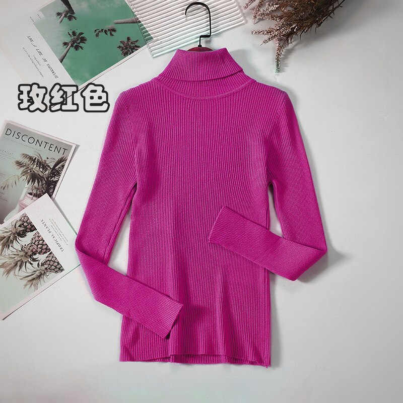 2Women Turtleneck Sweaters Autumn Winter Basic Tops Slim Pullover Women Casual Soft Knitted Sweater Jumper Soft Warm Pull