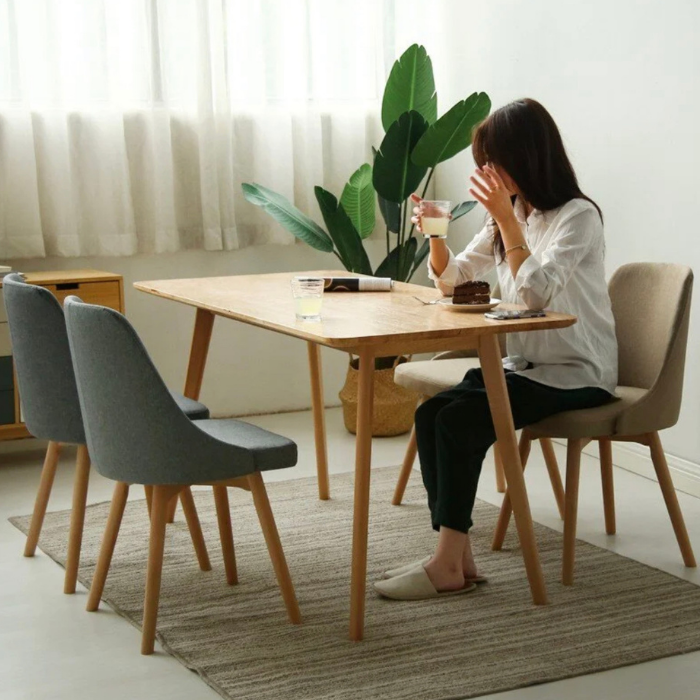 Elodie 360 Swivel Rotating Modern Minimalist Backrest Chair, dining table chair