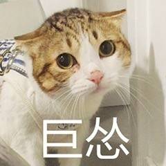 collentions_alt_0801