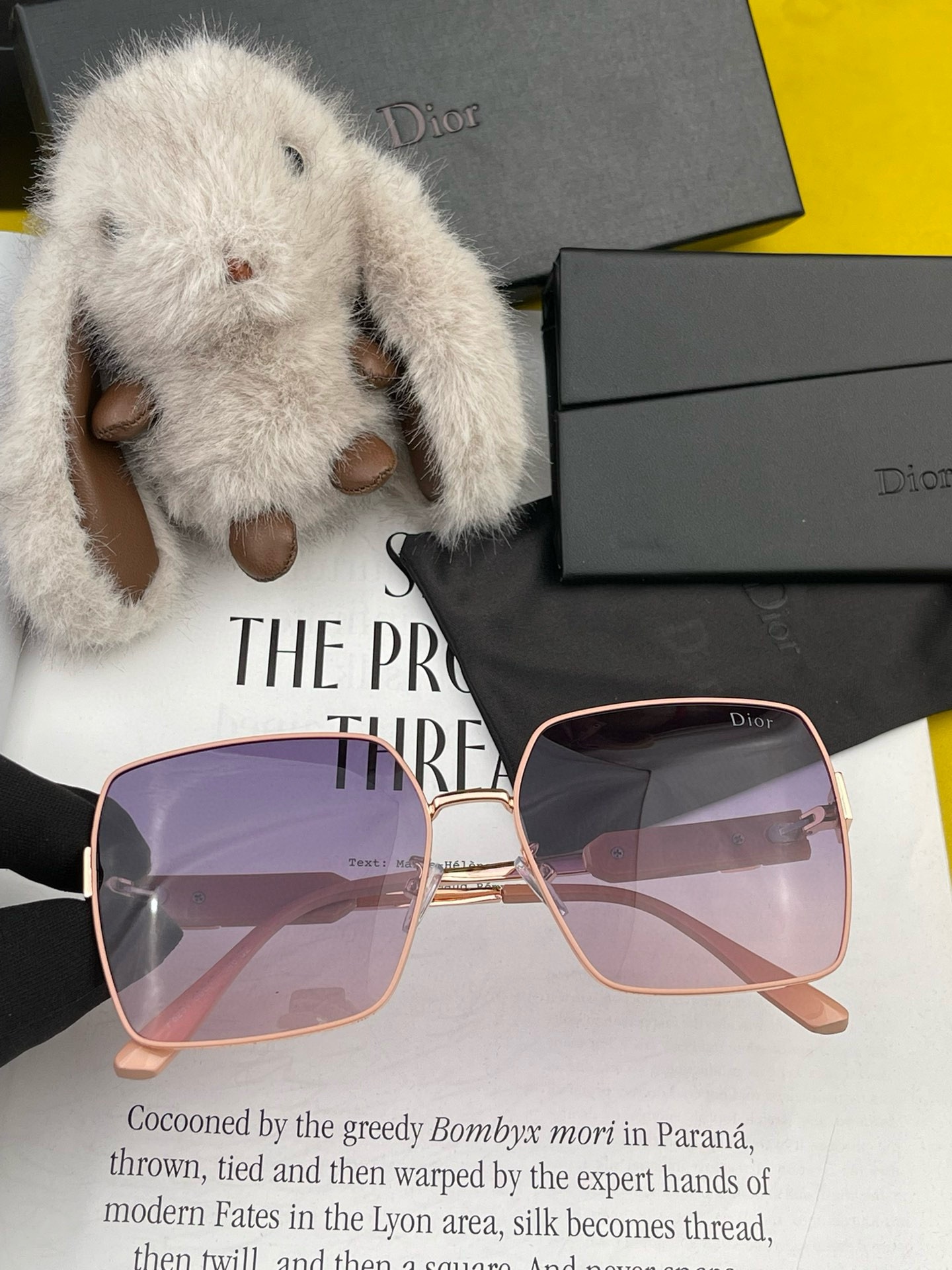 DIOR(  ディオール ) サングラス