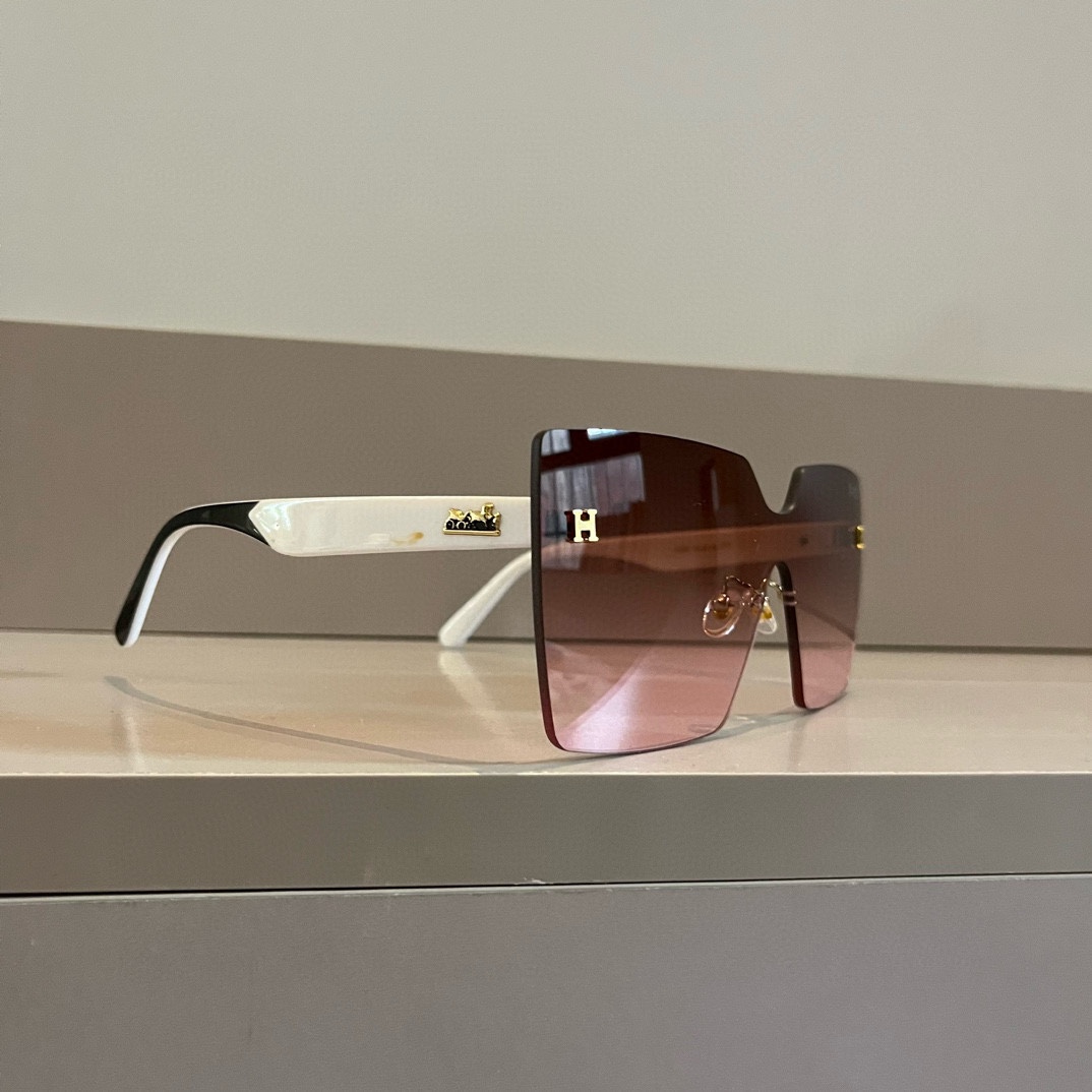 HERMES(エルメス) サングラス
