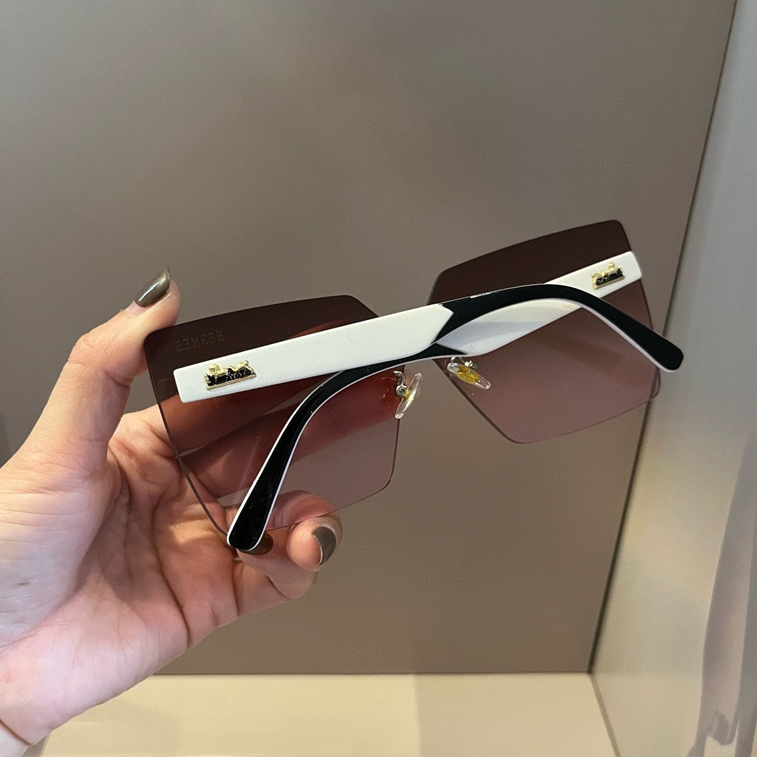 HERMES(エルメス) サングラス