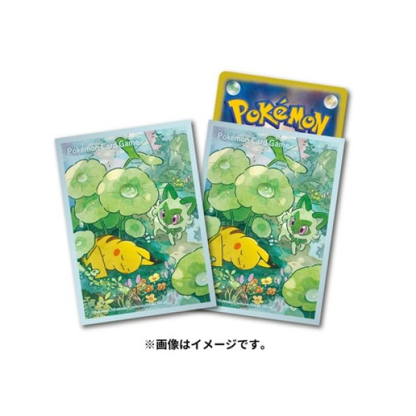 Pokemon Pikachu & Sprigatito Deck Shield