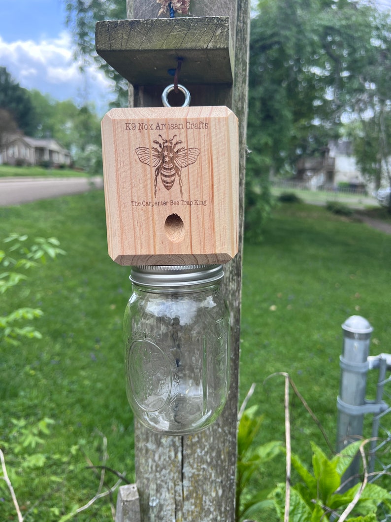Best Carpenter Bee Trap image 1