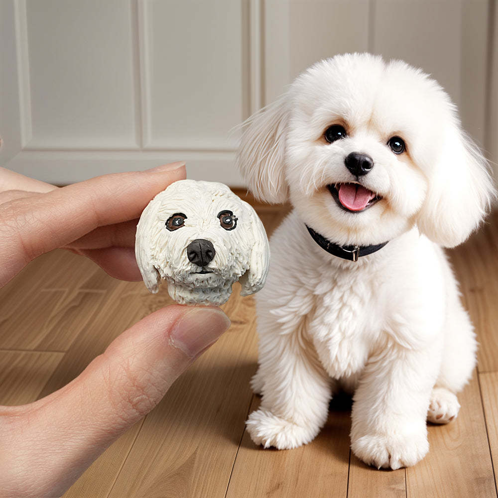 Custom Pet Brooch Handcrafted Personalized Clay Brooch for Pet Lovers - soufeelmy