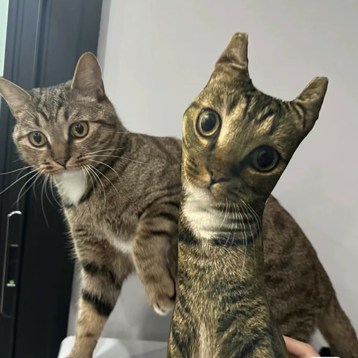 Custom Animal Photo 3D Pillow Pet Portrait Throw Pillow Ugly Pet Pillow Civet Cat - soufeelau