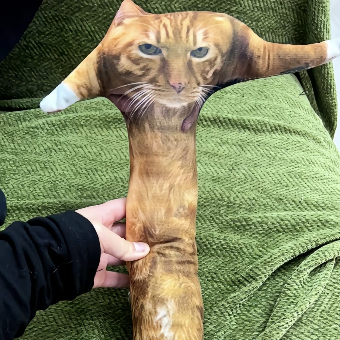 Custom Animal Photo 3D Pillow Pet Portrait Throw Pillow Ugly Pet Pillow Orange Cat - soufeelau