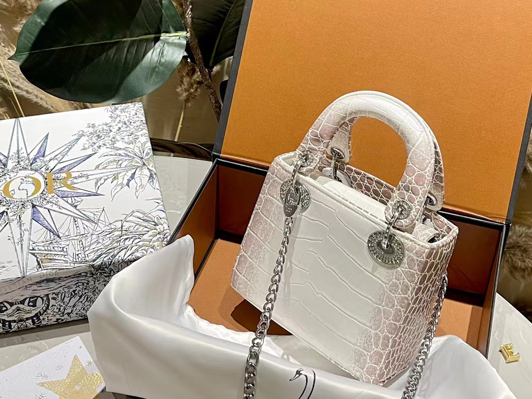 DI0R ヒマラヤクロコダイル ダイヤモンドバックル ハンドバッグ【50％割引+送料無料】