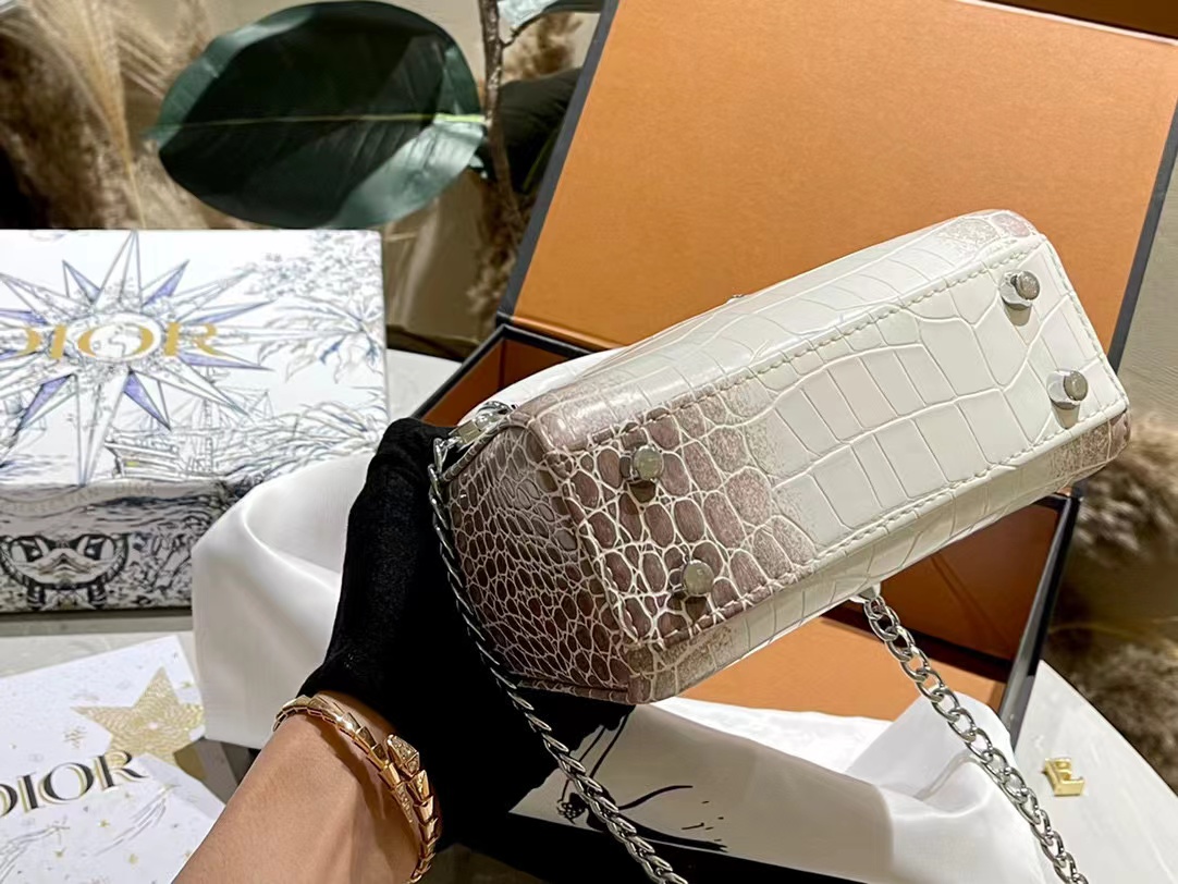 DI0R ヒマラヤクロコダイル ダイヤモンドバックル ハンドバッグ【50％割引+送料無料】