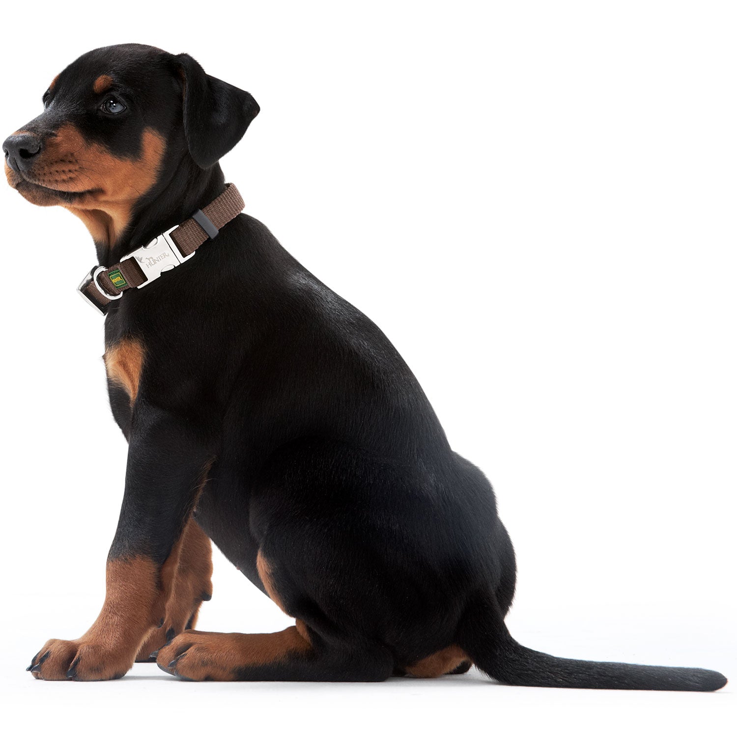 HUNTER® Vario Basic Alu-Strong