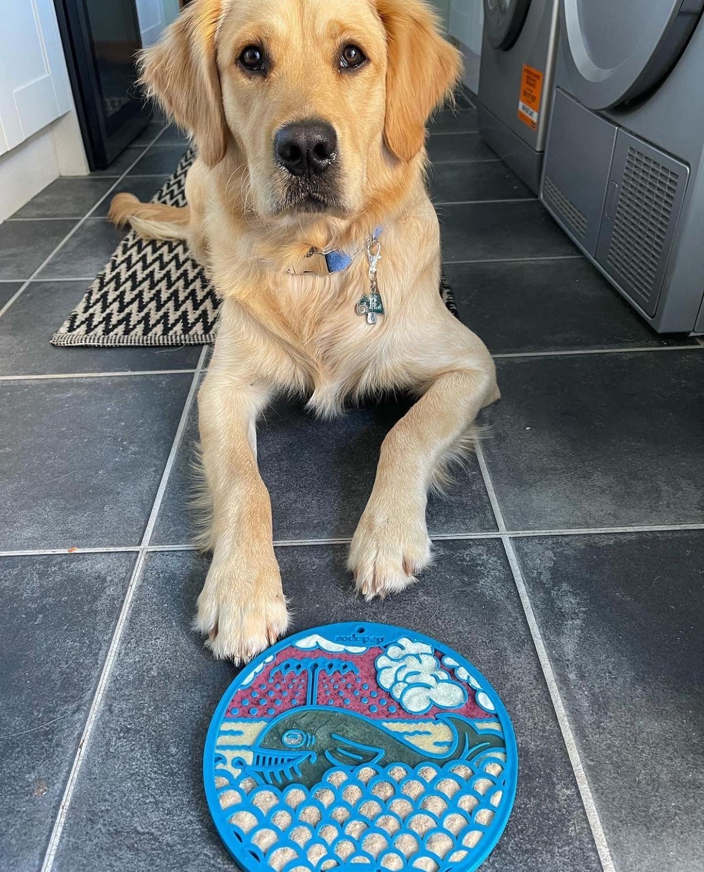 SodaPup Whale Emat - Round with Suction Cups | Blue