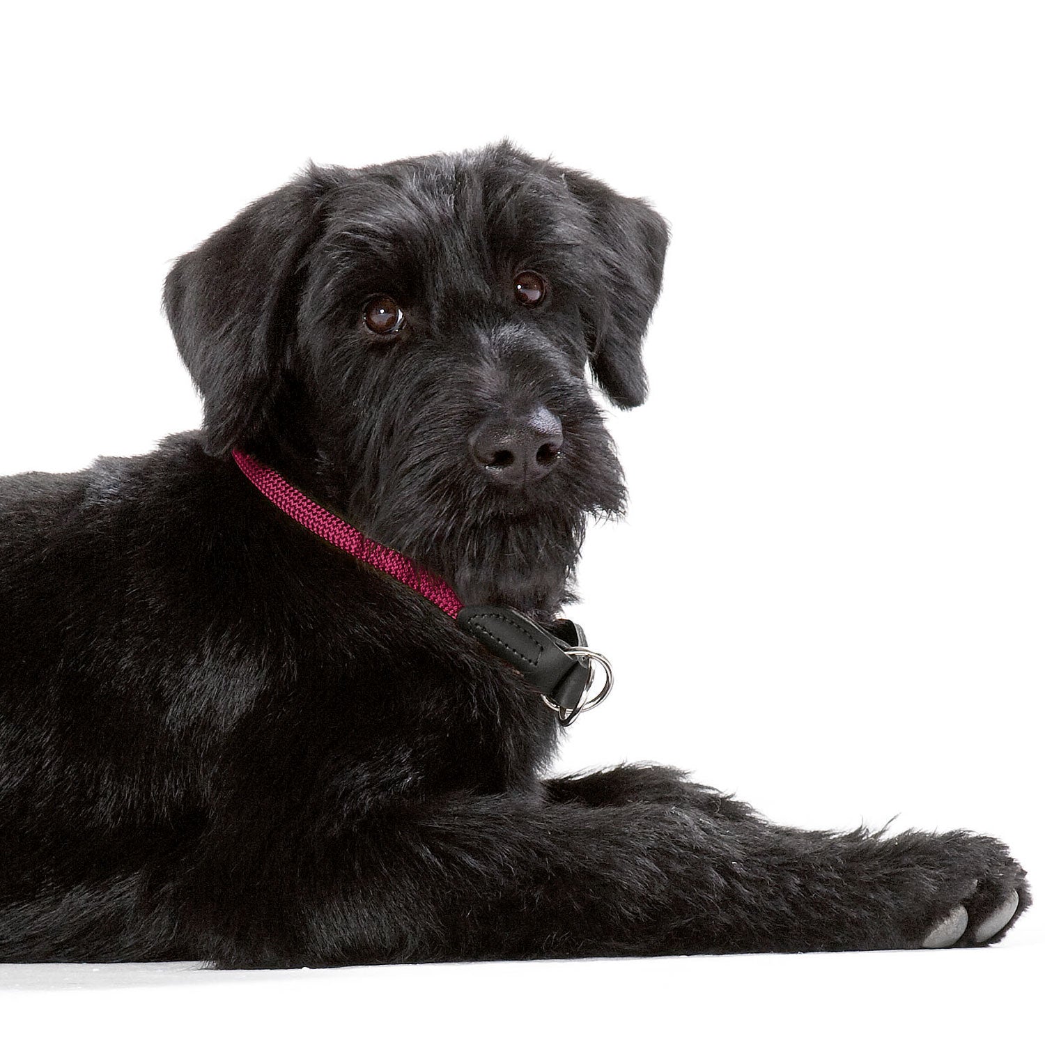 Model with Raspberry 