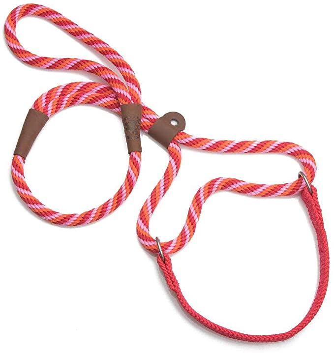 Mendota Pet Dog Walker (Martingale-style)