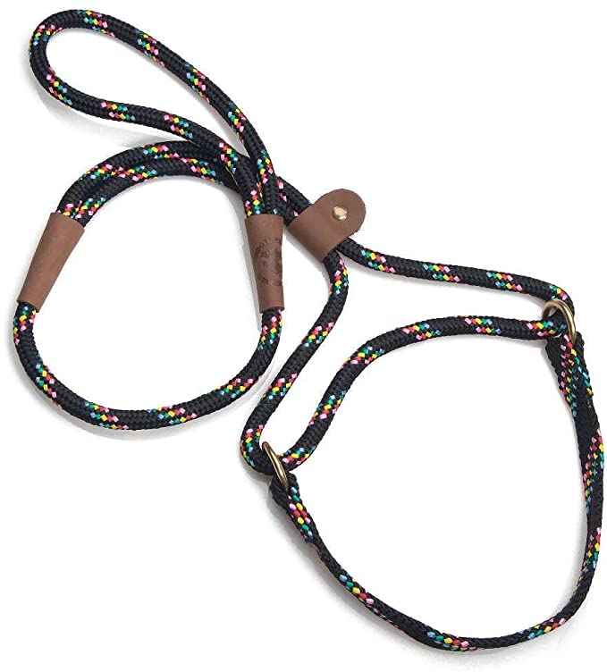 Mendota Pet Dog Walker (Martingale-style)