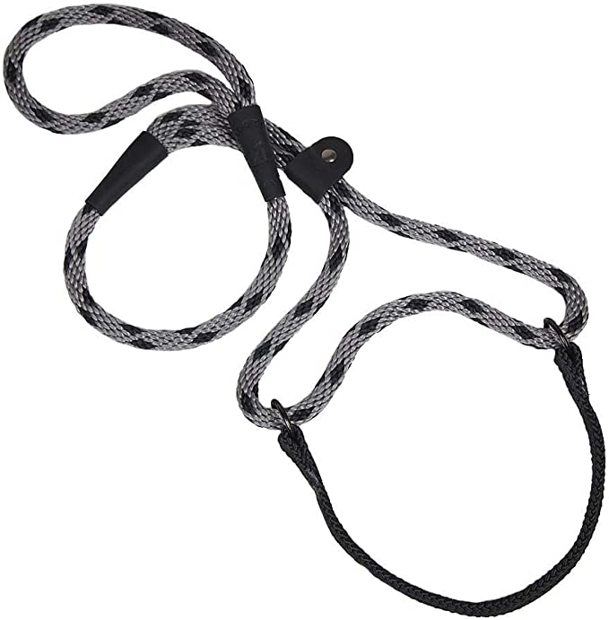Mendota Pet Dog Walker (Martingale-style)