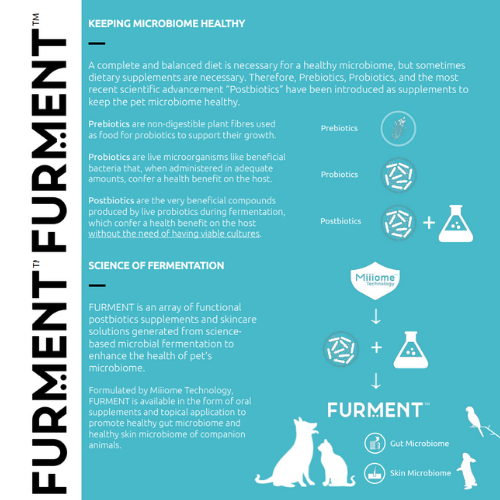 FURMENT COMPLETE (Forget Me Not shelter)