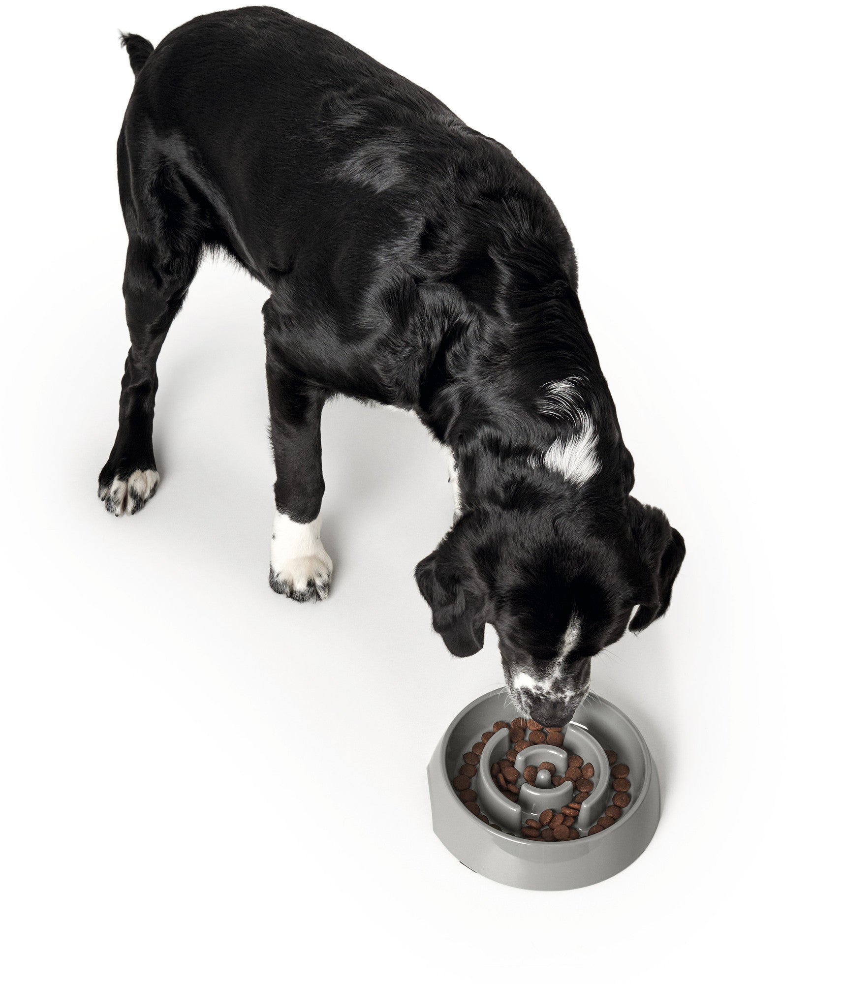 HUNTER® Atlanta Slow Feeding Bowl