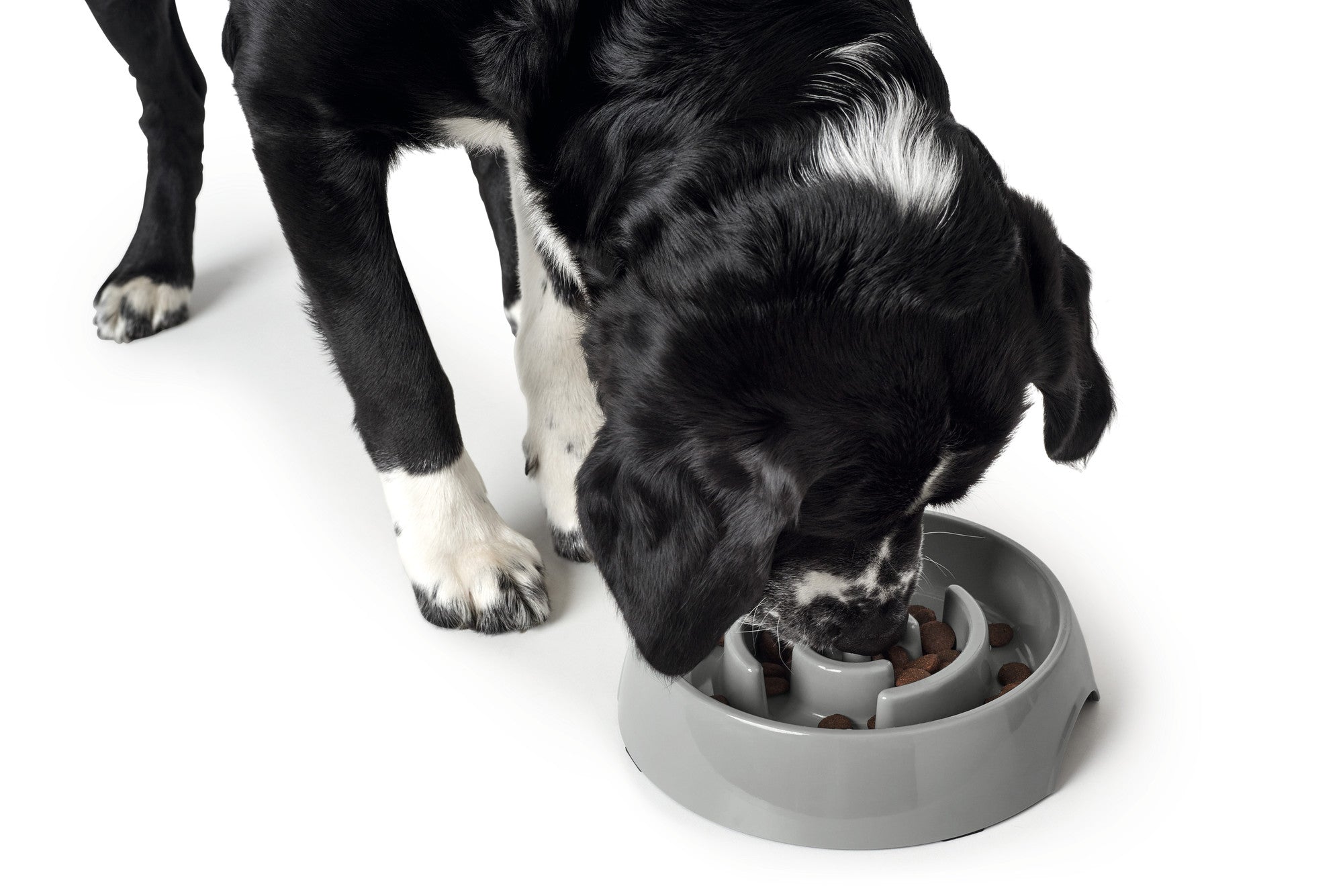 HUNTER® Atlanta Slow Feeding Bowl