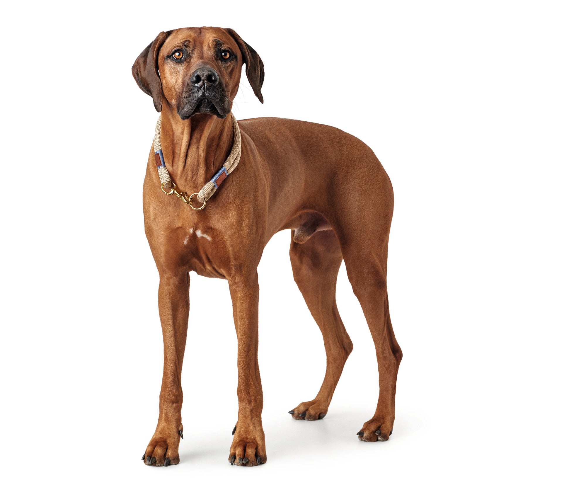 HUNTER® Collar Sansibar Rantum