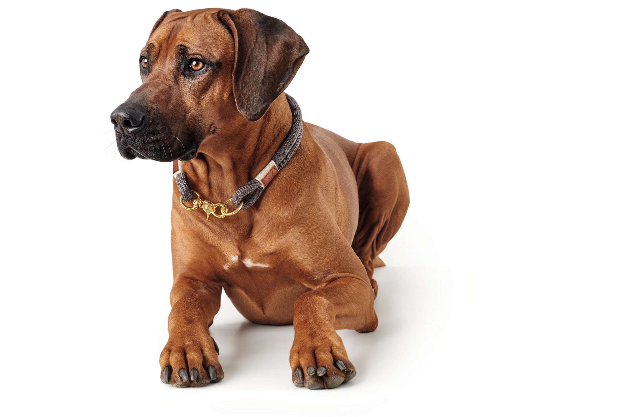 HUNTER® Collar Sansibar Rantum