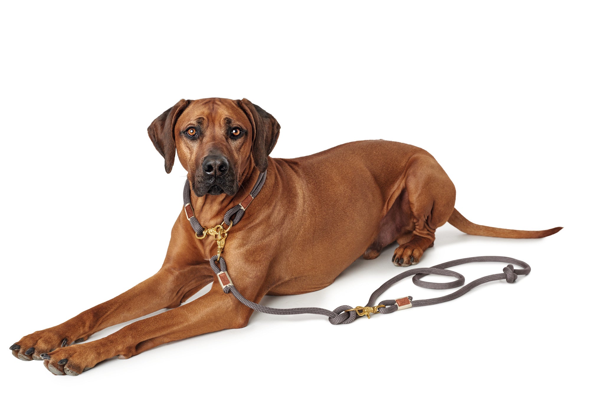 HUNTER®Training leash Sansibar Rantum