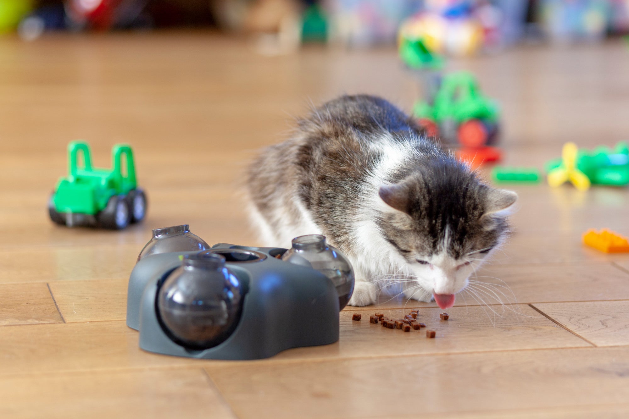 HUNTER® Interactive Enrichment Toy Kem